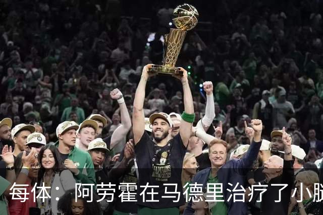 每体：阿劳霍在马德里治疗了小腿伤势，现已重返乌拉圭国家队